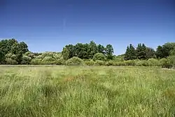 Rašelinná louka