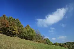 Pohled na louku