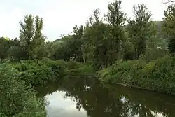 Pohled na Nebočadský luh od silnice