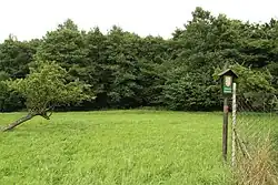 Jedna z chráněných luk
