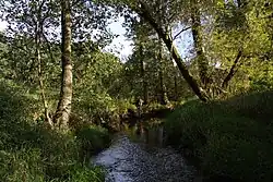 Meandrující potok Smutný v oblasti památky