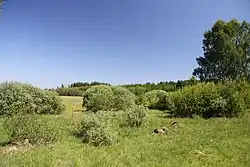 Pohled na oblast památky