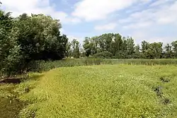 Pohled na vodní plochu na lokalitě