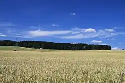 Přírodní park Polánka