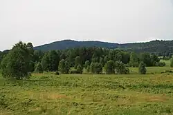Hliniště
