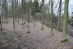 Zbytky valů po raně středověkém osídlení