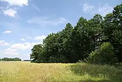 Olšina u Přeseky