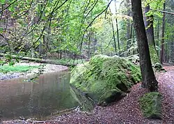 Chřibská Kamenice tvoří osní tok Pavlínina údolí