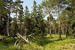 Vrcholová část v létě 2012