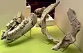 Spodní čelist a fragmenty pánevní kosti S. kirchbergensis uložené v Museum zu Allerheiligen v Schaffhausenu