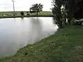 Pohled ke skateparku