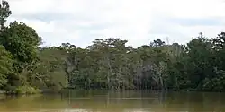 Řeka Neches, okres Orange, Texas