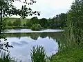 Rybník