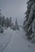 Místo nedaleko vrcholu Tok, zima