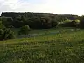 Nedošínský háj od severu