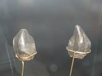 alternativní popis obrázku chybí