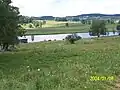 Rybník