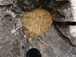 Xenolit perioditu uzavřený v nefelinitu
