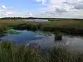 Groote Peel National Park