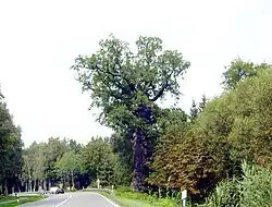 Neu Pudagla