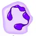 Neutrofil