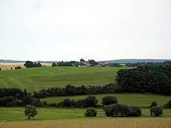 Nevolice od silnice Domažlice - Tlumačov
