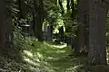 Nový ŽH Švihov