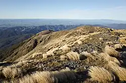 Mt. Holdswort
