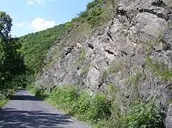 Nezabudické skály