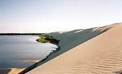 Parnidžio kopa