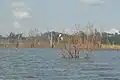 Laguna přehradního jezera
