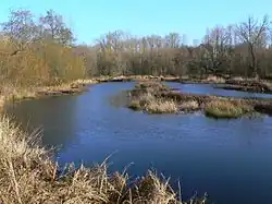 Pohled na jeden z močálů v rezervaci.