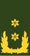 Nizozemsko: armáda