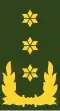 Nizozemsko: armáda