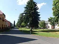 Náves