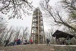 Rozhledna na Velké homoli