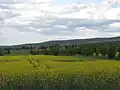 Pole
