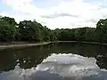 Horní novodvorský rybník