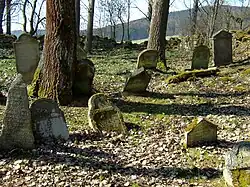 Židovský hřbitov v Novém Sedlišti