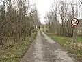 Cesta v lokalitě U Havlíka