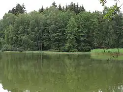 Pohled na rybník