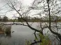 Nový rybník u Soběslavi