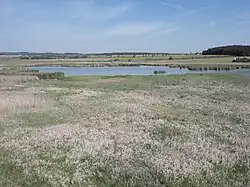 Nový rybník