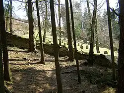 ŽH Ošelín