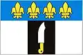 Vlajka obce Ošelín