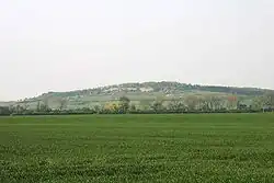 Oškobrh od Libice nad Cidlinou