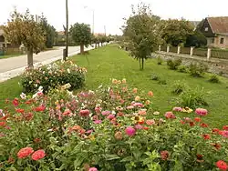 Náves