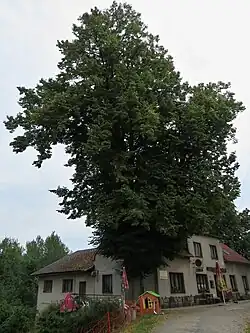 Chlívce