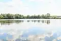 Pohled na Obecní rybník u Pěčic