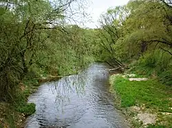 Obelis u Paobelysu